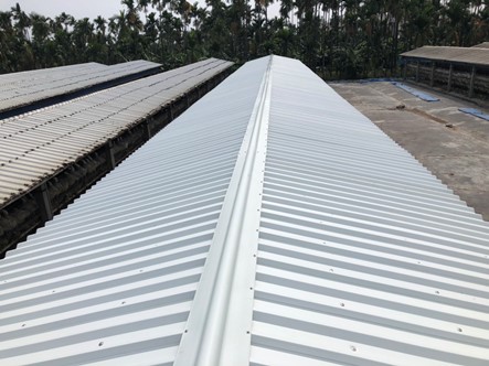 工程實績13-雞舍翻修-採用雙層中空PVC塑鋼浪板